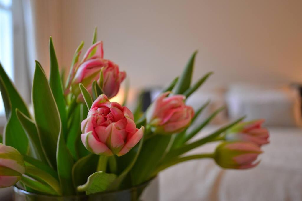 Exclusive Ground Floor Place Near Market Square *